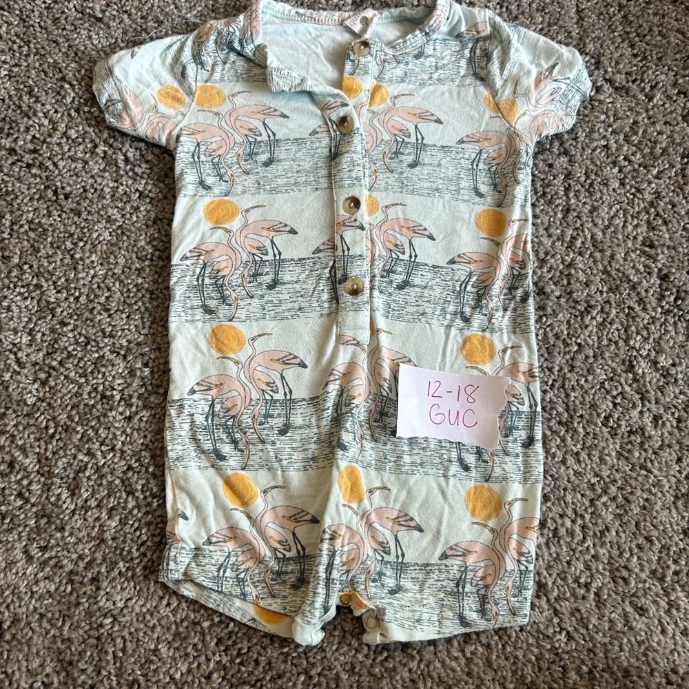 Kate Quinn Shortie Bundle